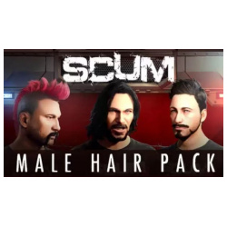 Настольная игра Jagex 123526 SCUM: Male Hair Pack (для PC/Steam)