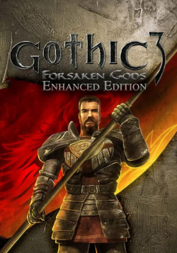 Настольная игра THQ Nordic 113445 Gothic III: Forsaken Gods Enhanced Edition (для PC/Steam)