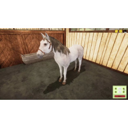 Настольная игра Games Incubator  PlayWay S A 140401 Animal Shelter Horse DLC (для PC/Steam)