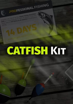 Настольная игра Ultimate Games S A  142152 Professional Fishing: Catfish Kit (для PC/Steam)