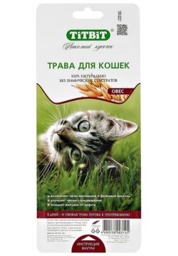 Трава для кошек TITBIT Овес 40 г 100% натуральный продукт
