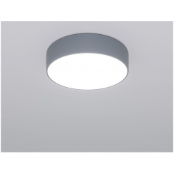 Светильник потолочный Eurosvet Entire 90318/1 серый 