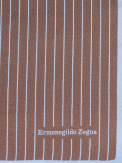 Платок шелковый ERMENEGILDO ZEGNA  zcx30 31 Коричневый Голубой