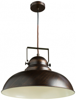 Подвесной светильник Arte Lamp MARTIN A5213SP 1BR 