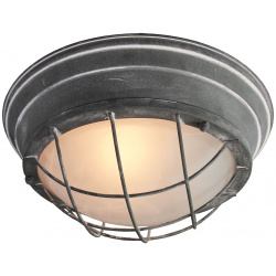 Потолочный светильник Lussole BRENTWOOD LSP 9881 