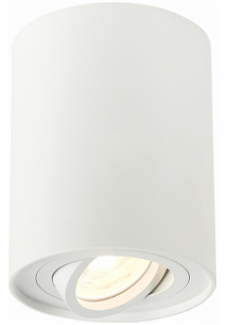 Точечный накладной светильник ST Luce ST108 517 01 