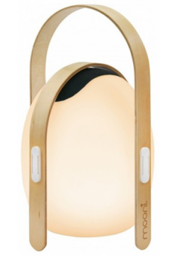 Декоративная настольная лампа iledex GIGGLE OVS1100 CH WH