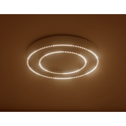 Потолочный светильник Ambrella light LINETECH FL5821