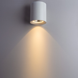 Точечный накладной светильник Arte Lamp FACILE A5130PL 1WH