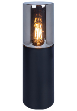Ландшафтный светильник Arte Lamp WAZN A6218FN 1BK 