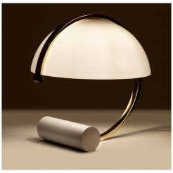 Декоративная настольная лампа Arte Lamp BRAVA A5056LT 1GO