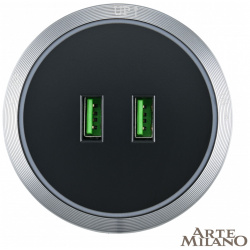 Розетка USB трековая Arte Milano 380066TS LED/USBx2 Grey