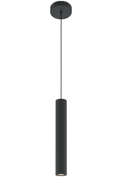 Точечный подвесной светильник Maytoni PRO FOCUS MOD161PL 01B1 