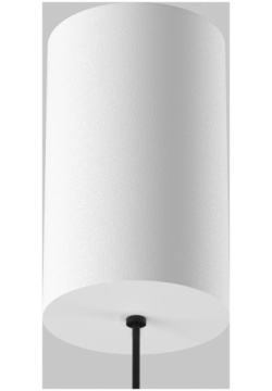 Точечный подвесной светильник Maytoni GLARE P102PL 12W3K W