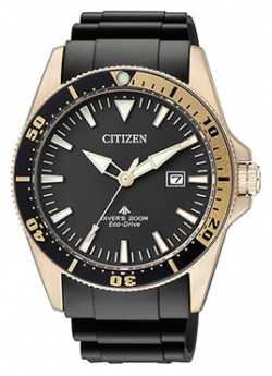 Японские наручные  мужские часы Citizen BN0104 09E Коллекция Promaster