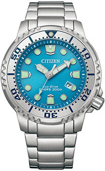 Японские наручные  мужские часы Citizen BN0165 55L Коллекция Promaster