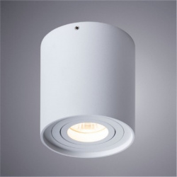 Влагозащищенный накладной светильник Arte Lamp Galopin A1460PL 1WH
