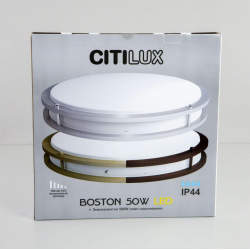 Настенно потолочный светильник Citilux Бостон CL709503N
