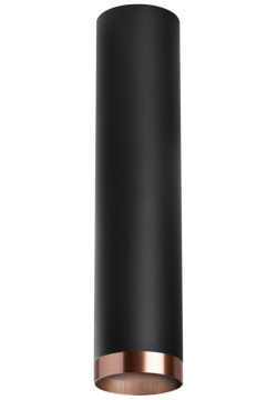 Накладной светильник Lightstar Rullo R497430 