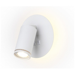 Настенный светодиодный светильник с выключателем Ambrella light WALLERS FW2462 