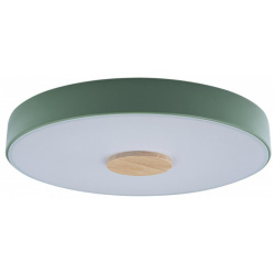Потолочный светодиодный светильник Axel Loft It 10003/24 Green 