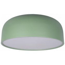 Потолочный светодиодный светильник Loft IT Axel 10201/480 Green 