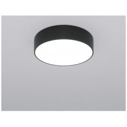 Потолочный светильник с пультом ДУ 90318/1 черный Eurosvet (a063079) ЕВРОСВЕТ 