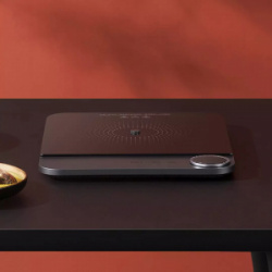 Умная индукционная варочная панель Xiaomi Mijia Ultra thin Induction Cooker (MCL01M)