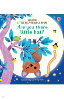 Are You There Little Bat? Usborne 9781474981163 