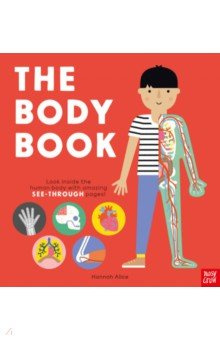 The Body Book Nosy Crow 9781788006767 Look inside human in this