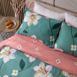 Комплект постельного белья 2 спальный  зелёно розовый Respect