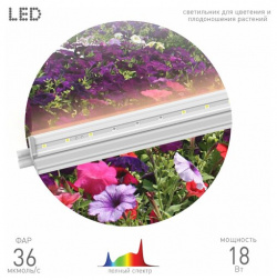 ЭРА Линейный фито светильник для растений и рассады полного спектра FITO 18W T5 Ra90 Б0049313 