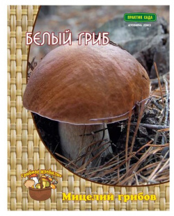 Мицелий грибов ПОИСК Белый гриб  60 мл Описание Царь