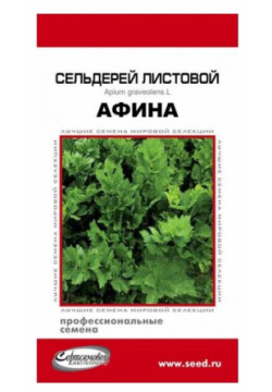 Сельдерей листовой Афина  250 семян Дом Средеранний сорт