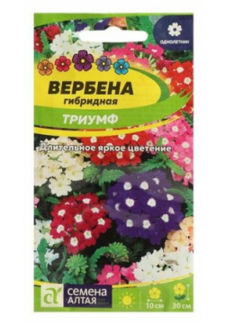 Семена цветов Вербена "Триумф"  гибридная Сем Алт ц/п 0 1 г Алтая 7349751