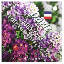 Семена цветов Алиссум "Ежевичные меренги"  О DARIT 0 2 г Агроуспех