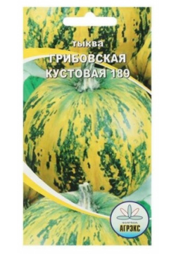 Семена Тыква Грибовская кустовая 189 5шт  4 пачки Нет бренда