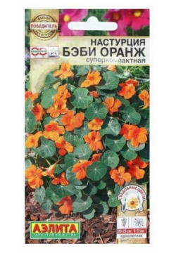Семена Цветов Настурция Бэби оранж  суперкомпактная 4 семян Нет бренда