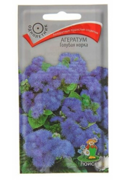Семена цветов Агератум "Голубая норка"  О 0 1 г ПОИСК агератума «Голубая