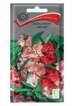Семена цветов Бальзамин "Том Самб" 0 1 г ПОИСК 
