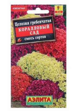 Семена цветов Целозия гребенчатая Коралловый сад  смесь окрасок О 0 2 г 4 шт Китай