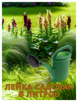 Лейка садовая  5 л разных цветов пластмассовая Россия 67510 Полипласт