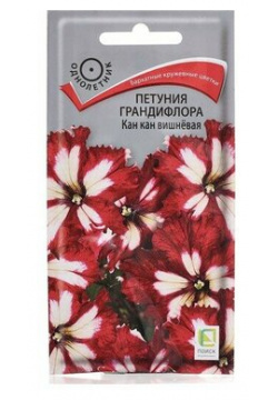 Семена цветов Петуния грандифлора Как кан  вишнeвая 10шт 2 шт Китай