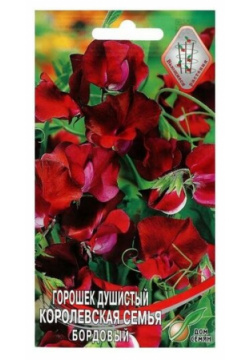Семена цветов Горошек душистый "Королевская семья"  бордовый 6 шт MikiMarket