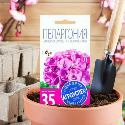 Семена комнатных цветов Пеларгония "Виолет"  4 шт Агроуспех