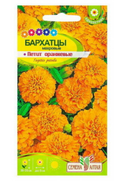 Семена цветов Бархатцы "Петит" Оранжевые  О 0 3 гр Алтая