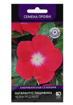 Семена цветов Катарантус Пацифика "Черри Ред Хало" 10 шт Поиск 