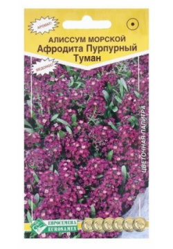 Семена Цветов Алиссум морской Афродита Пурпурный туман  0 02 г Евросемена