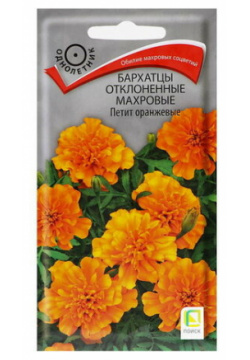 Семена цветов Бархатцы отклоненные махровые "Петит"  оранжевые 0 4гр Поиск