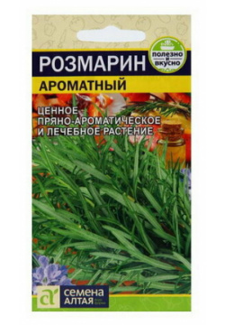 Семена Розмарин "Ароматный"  цп 0 03 г Алтая Артикул: 1405 164